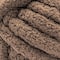 Bernat® Blanket Big™ Yarn